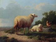 unknow artist Sheep 163 oil painting picture wholesale